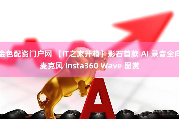 金色配资门户网 【IT之家开箱】影石首款 AI 录音全向麦克风 Insta360 Wave 图赏